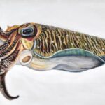 Nicky Heard, Textile Artist