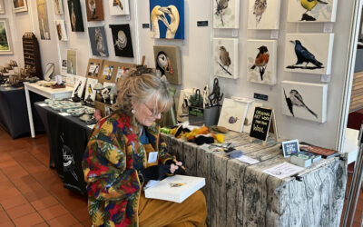 Best exhibition ever at Sir Harold Hillier Gardens